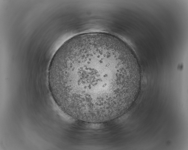 X0000111371423200907241235