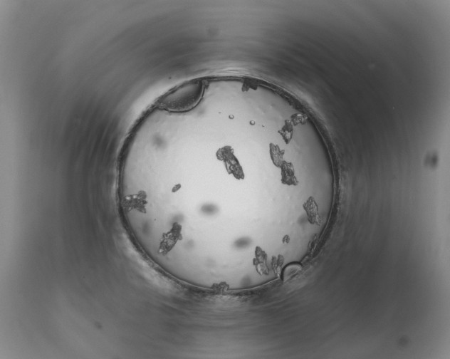 X0000111371424200907241235