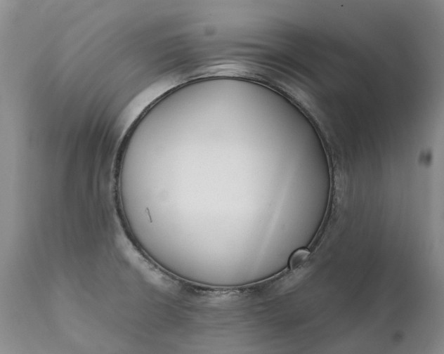 X0000111371426200907241235