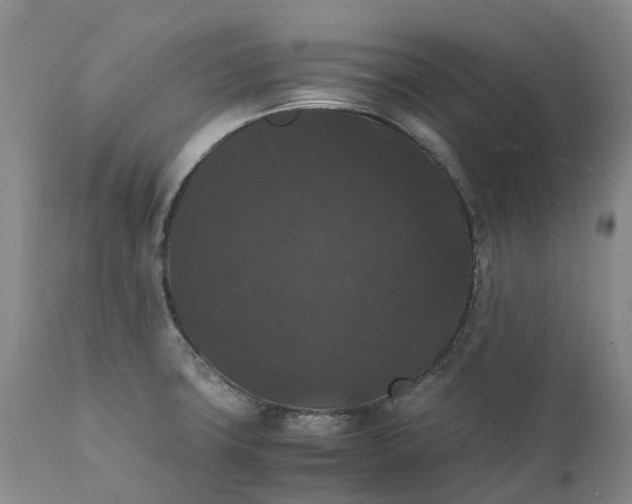 X0000111371427200907241235