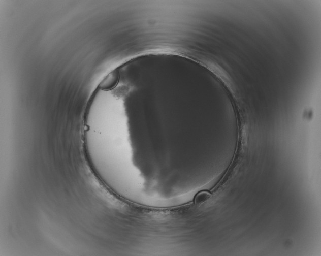 X0000111371428200907241235