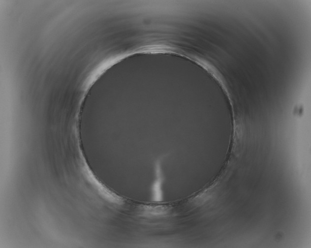 X0000111371429200907241235