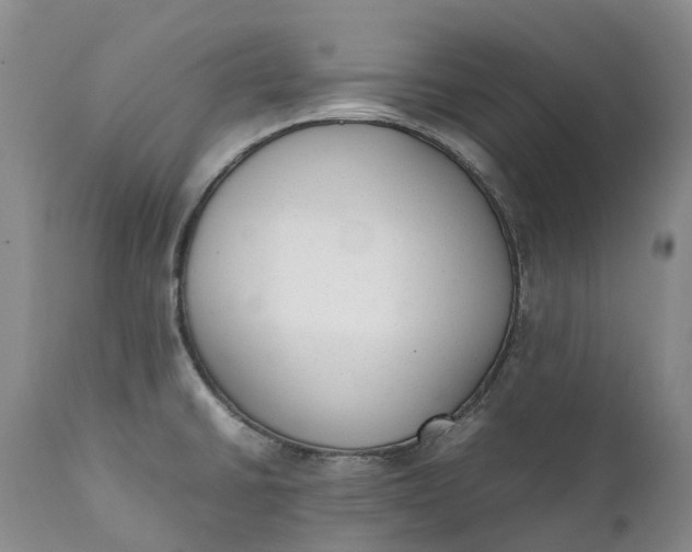 X0000111371430200907241235