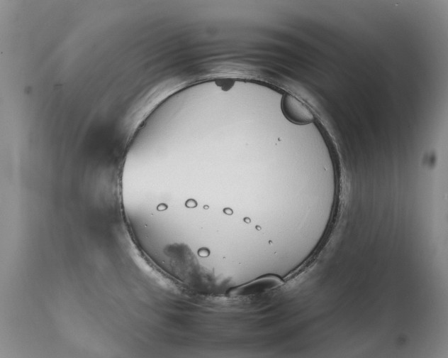 X0000111371433200907241235