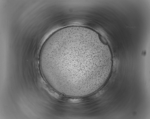 X0000111371435200907241235