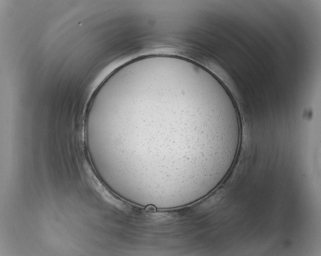 X0000111371436200907241235