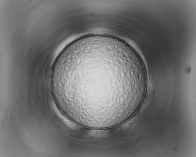 X0000111371437200907241235