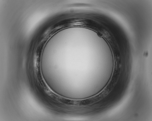 X0000111371438200907241235