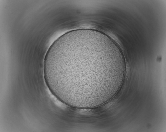 X0000111371439200907241235