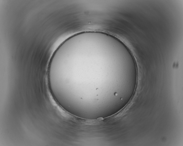 X0000111371440200907241235