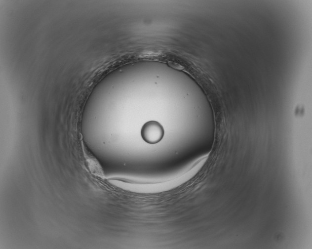 X0000111371441200907241234