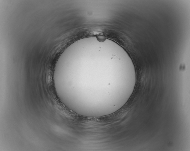 X0000111371442200907241234