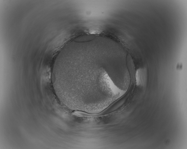 X0000111371443200907241234