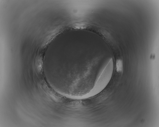 X0000111371444200907241234