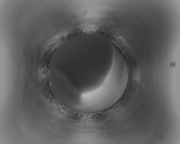 X0000111371445200907241234