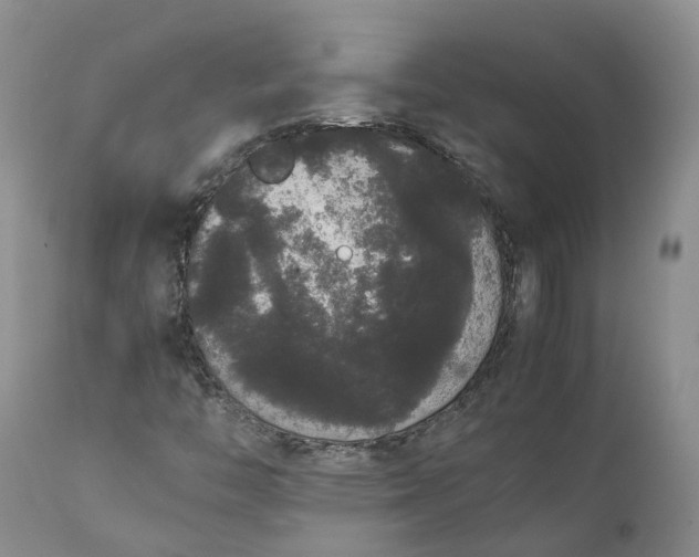 X0000111371446200907241234