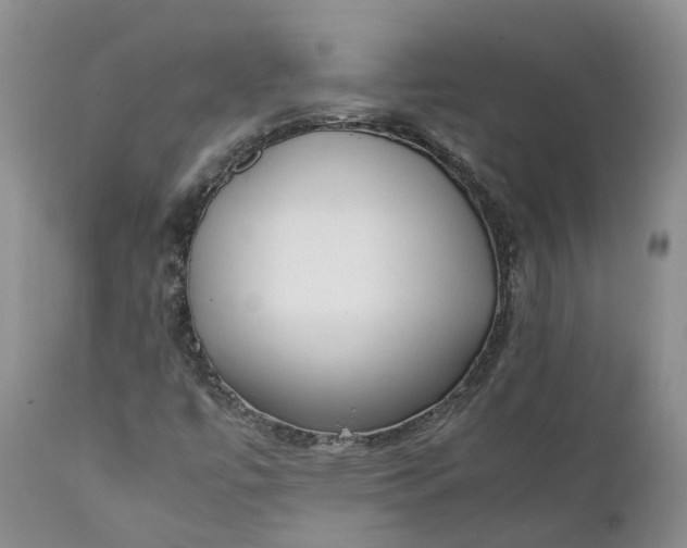 X0000111371447200907241234