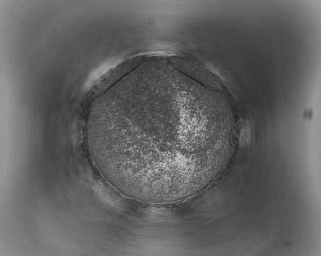 X0000111371448200907241234