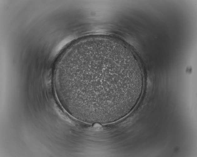 X0000111371450200907241234