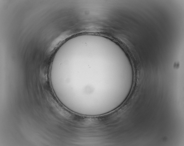 X0000111371451200907241234