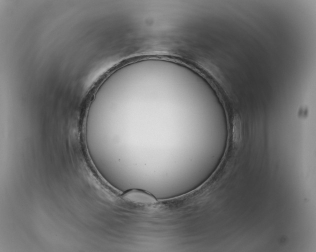 X0000111371452200907241234