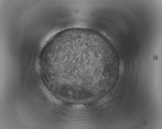 X0000111371454200907241234