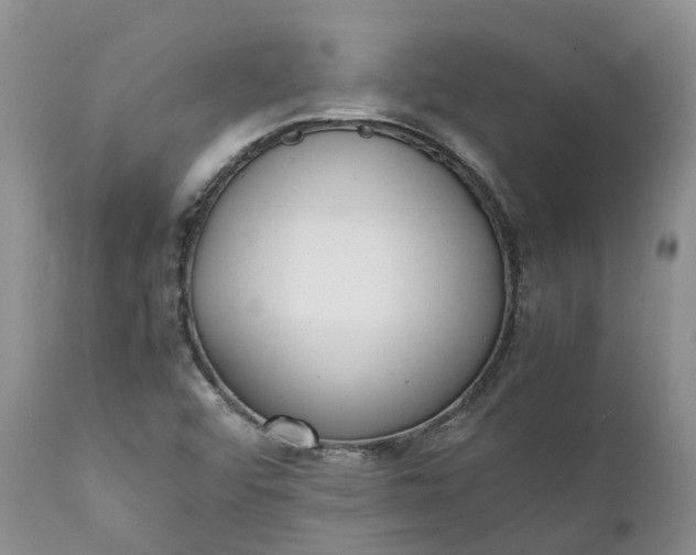 X0000111371456200907241234