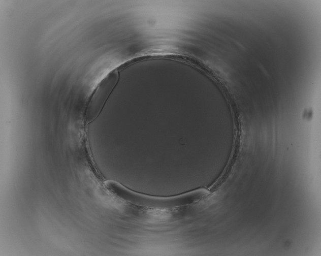 X0000111371457200907241234