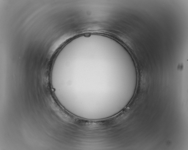 X0000111371458200907241234