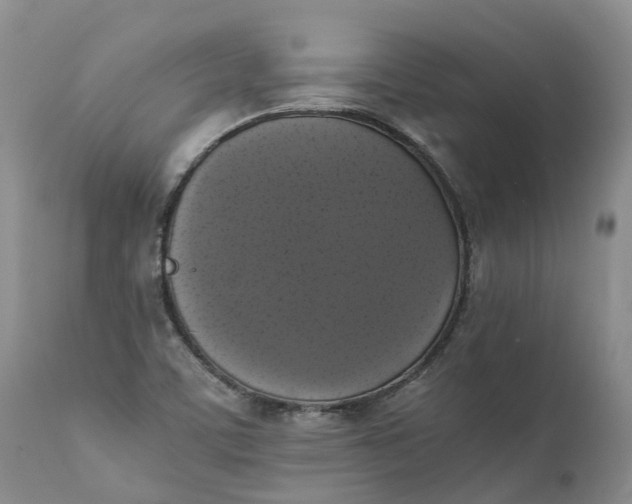 X0000111371459200907241234