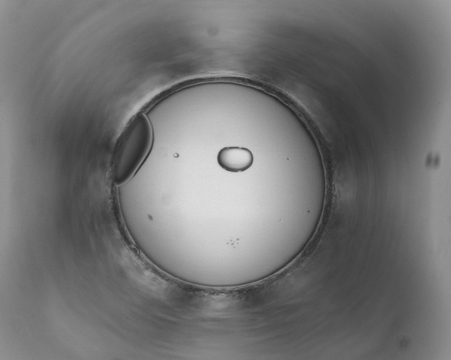 X0000111371460200907241234