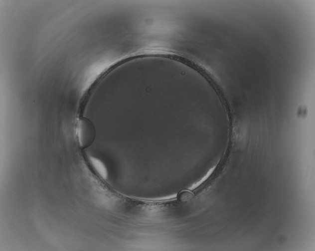 X0000111371461200907241234