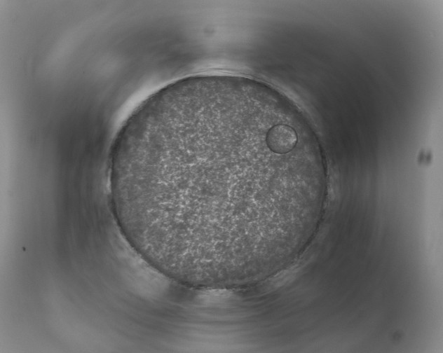 X0000111371462200907241234