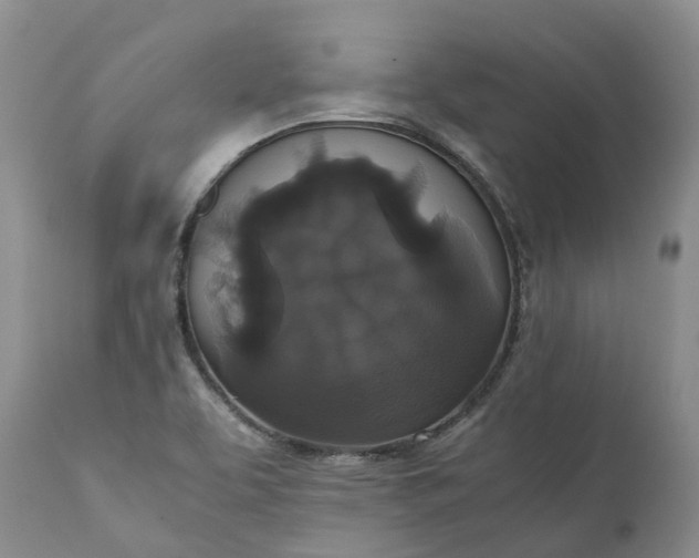 X0000111371463200907241234