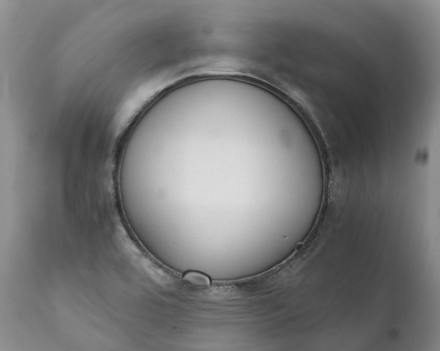 X0000111371464200907241234