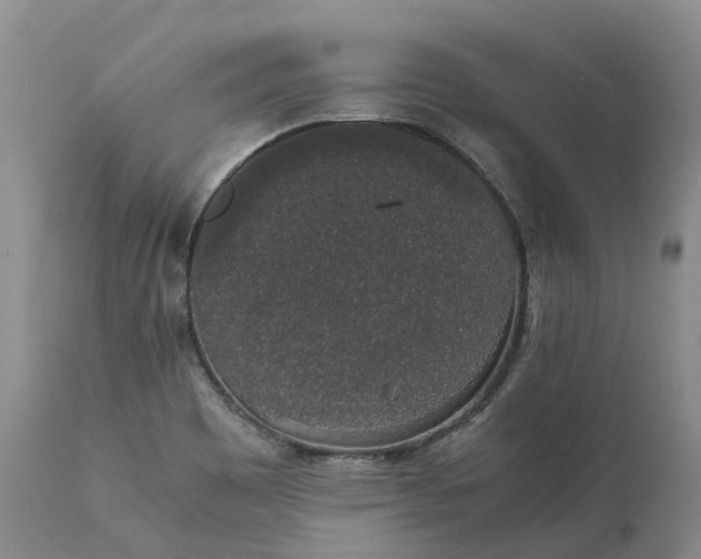 X0000111371465200907241234