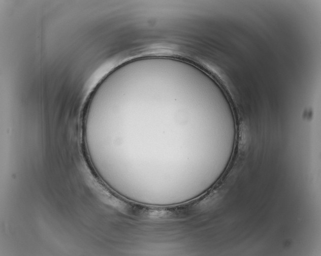 X0000111371467200907241234