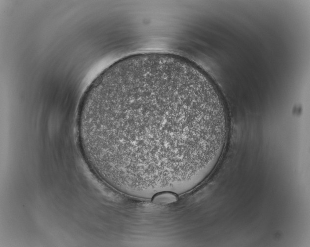 X0000111371469200907241234