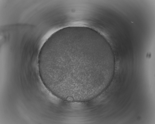 X0000111371470200907241234