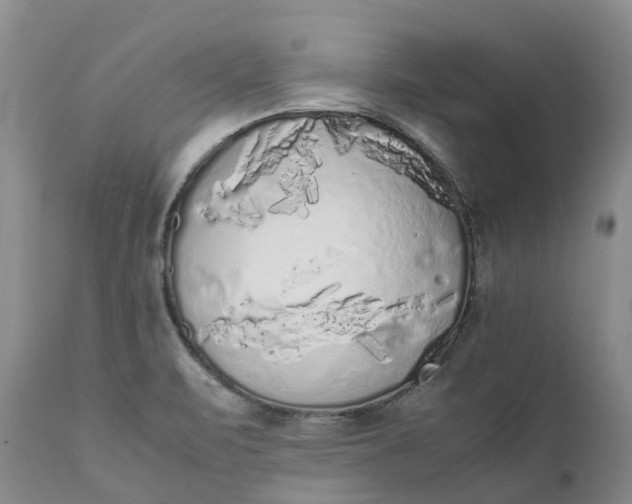 X0000111371471200907241234