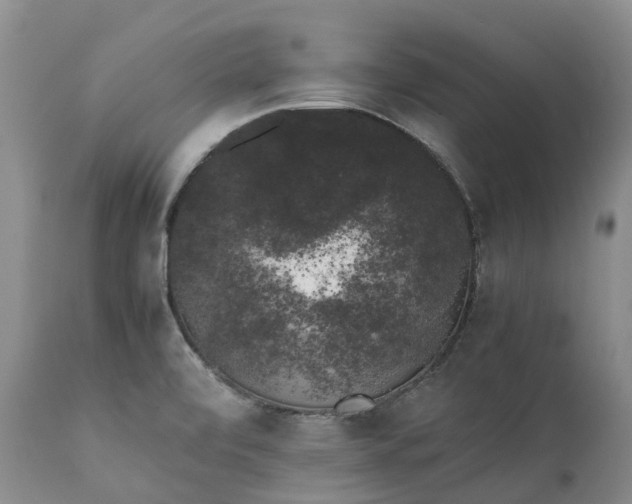 X0000111371472200907241234