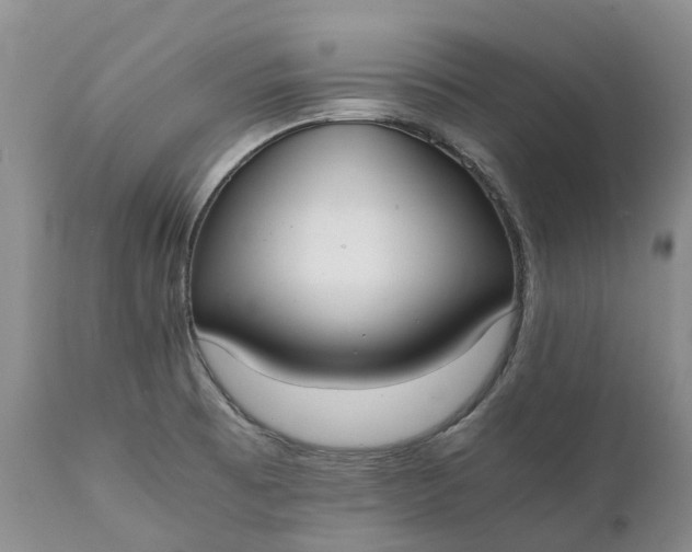 X0000111371473200907241234