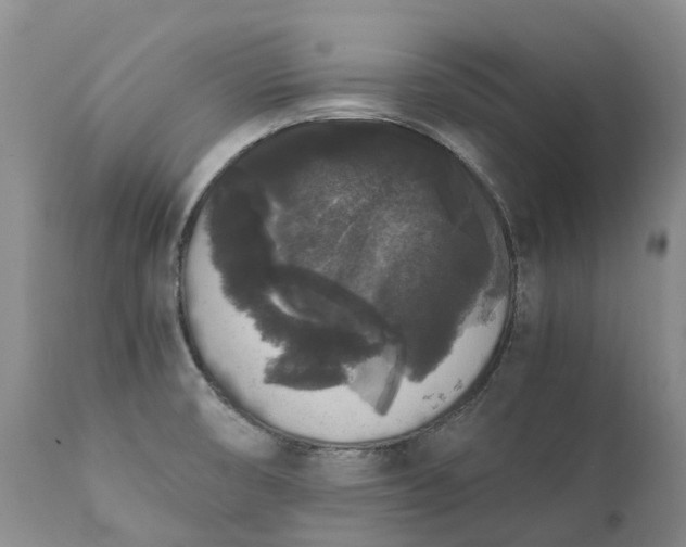 X0000111371474200907241234