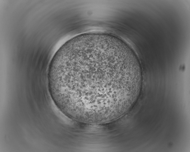 X0000111371475200907241234