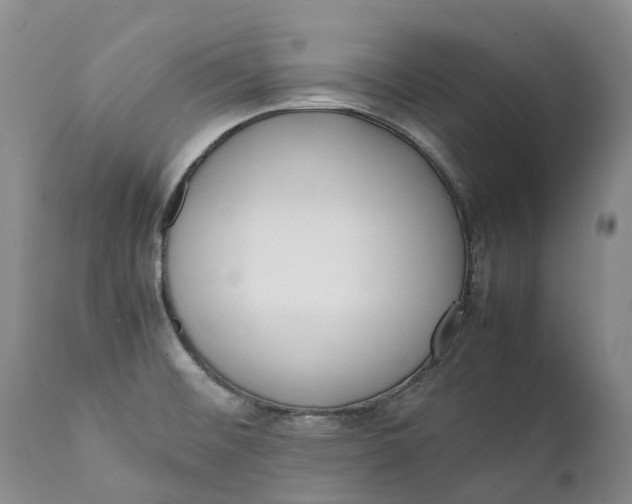 X0000111371476200907241234