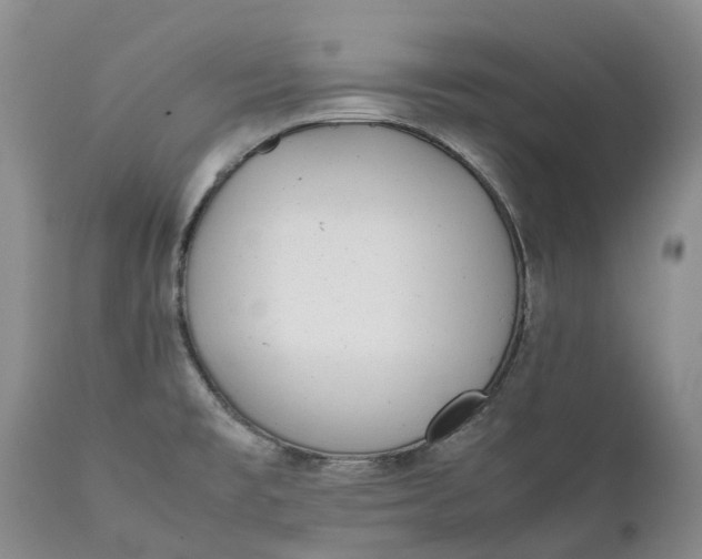 X0000111371477200907241234