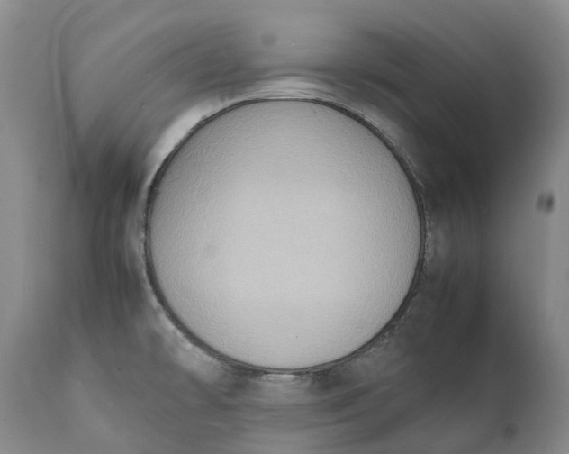 X0000111371478200907241234