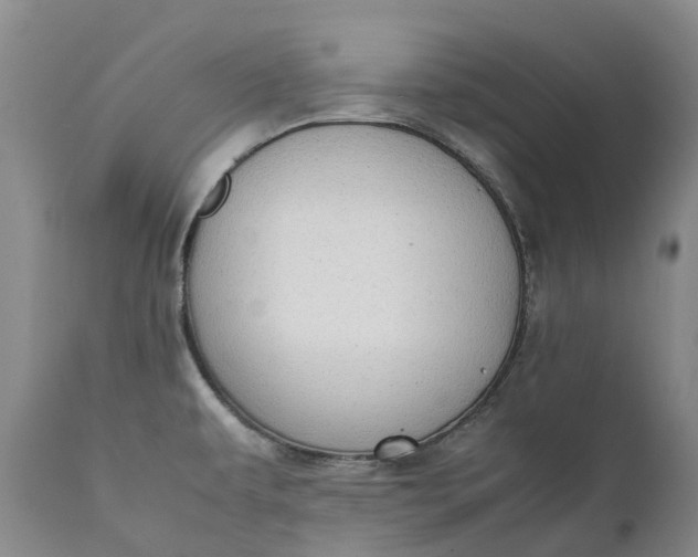 X0000111371479200907241234