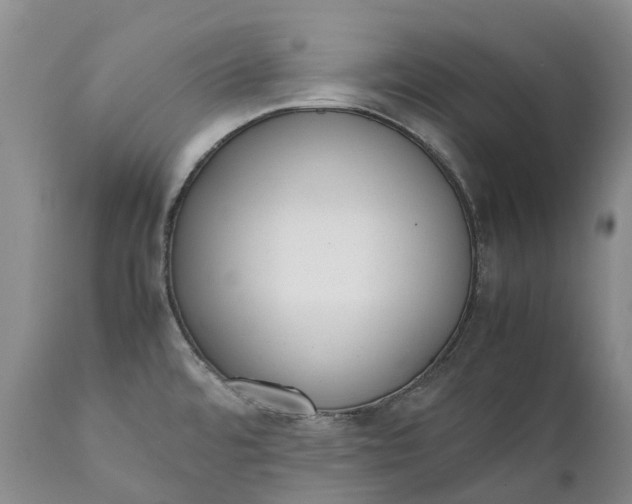 X0000111371480200907241234