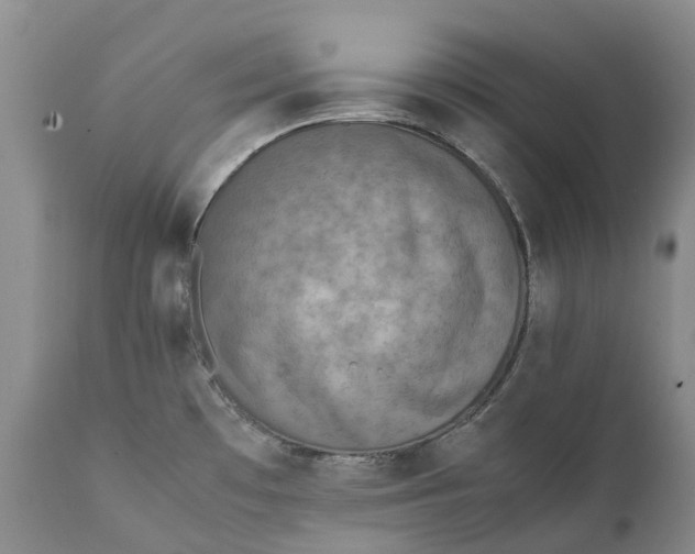 X0000111371481200907241234